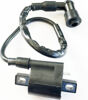 Honda NU50 Ignition Coil with Cap